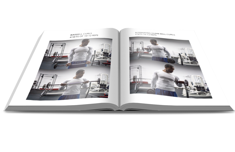 The Ultimate Guide to Effective Bulk and Cut Phases, by Crisci Emanuele